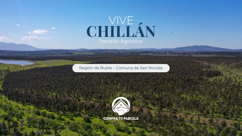 Portada Vive Chillán_6a84daa429fbd.png